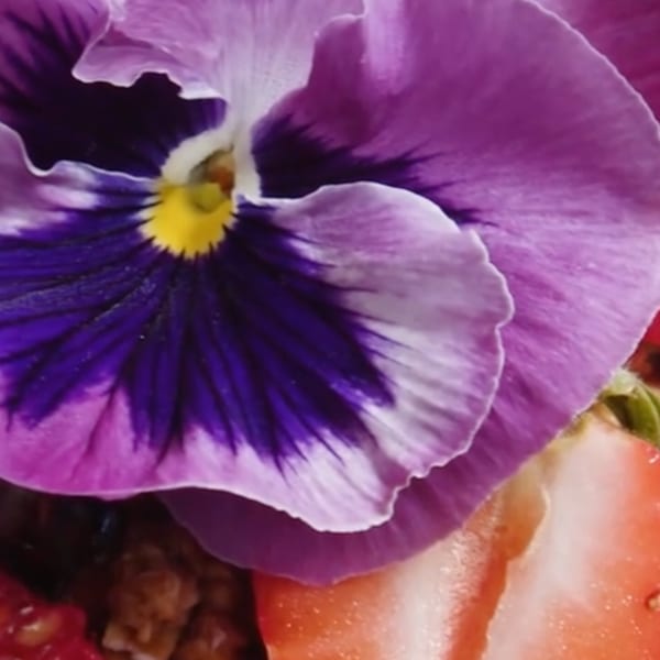 Close-up of a purple pansy flower with a yellow center, next to sliced strawberries.