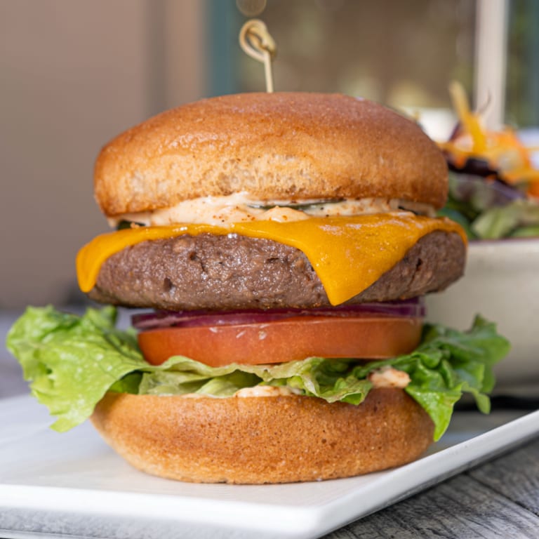 Delicious Vegan Burger Options